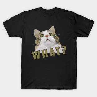 what Cat Meme: Funny newest sarcastic cat meme for cats lover T-Shirt